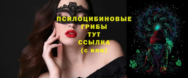 ПСИЛОЦИБИНОВЫЕ ГРИБЫ Мегион