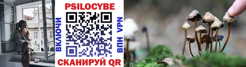 Галлюциногенные грибы Magic Shrooms  Купить где  Усть-Катав 